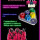 Настольная игра Конгинори  - Настольная игра Конгинори 